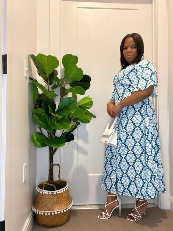 I SEE BLUE BUTTON DOWN MIDI DRESS - Image 2