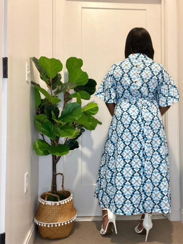 I SEE BLUE BUTTON DOWN MIDI DRESS - Image 3